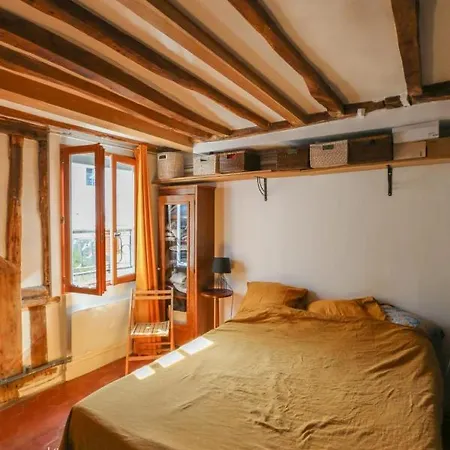 Charming 40M With Terrace In Paris *