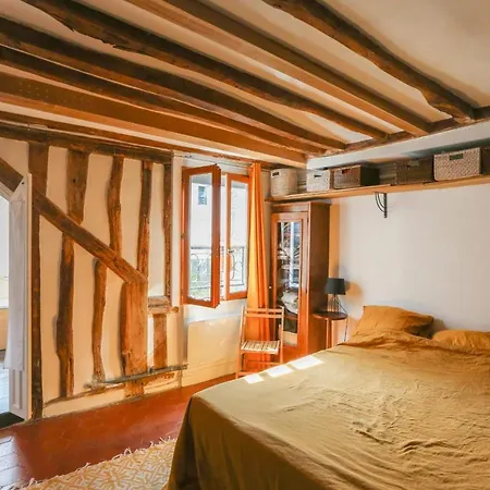 Charming 40M With Terrace In Paris